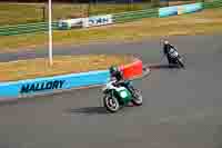 Vintage-motorcycle-club;eventdigitalimages;mallory-park;mallory-park-trackday-photographs;no-limits-trackdays;peter-wileman-photography;trackday-digital-images;trackday-photos;vmcc-festival-1000-bikes-photographs